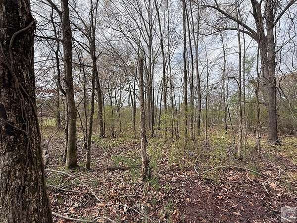 0.52 Acres of Land for Sale in Prescott, Arkansas