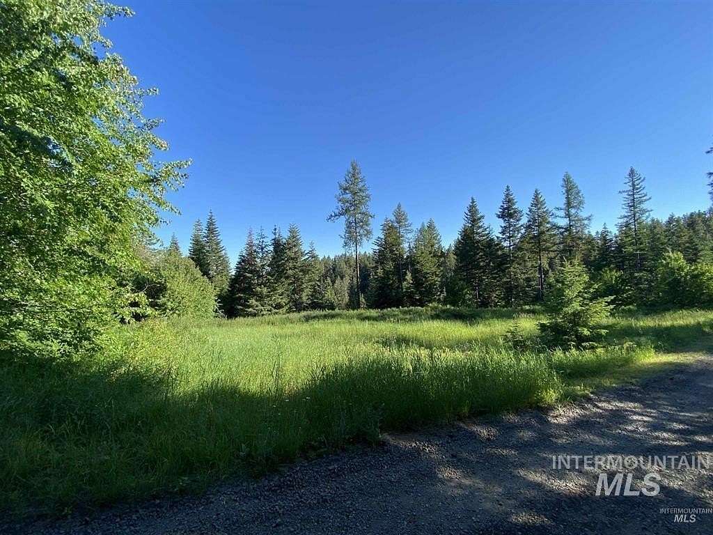 40 Acres of Recreational Land for Sale in Waha, Idaho