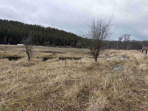 9.46 Acres of Residential Land for Sale in Clarkia, Idaho