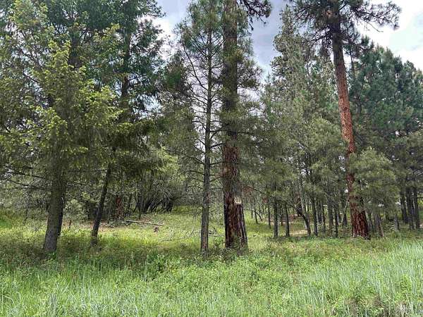 4.44 Acres of Land for Sale in Garden Valley, Idaho