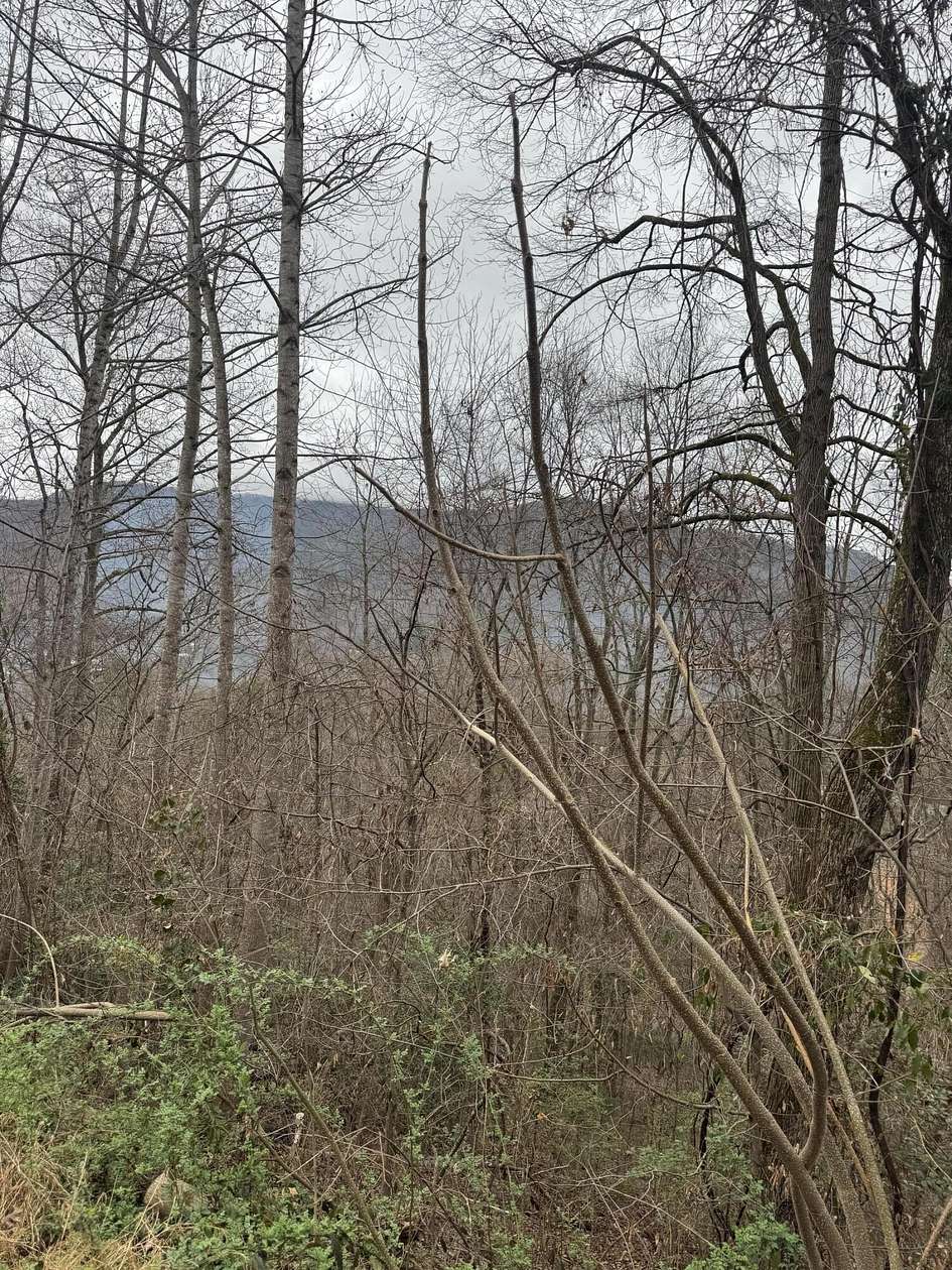 2 Acres of Residential Land for Sale in Cosby, Tennessee