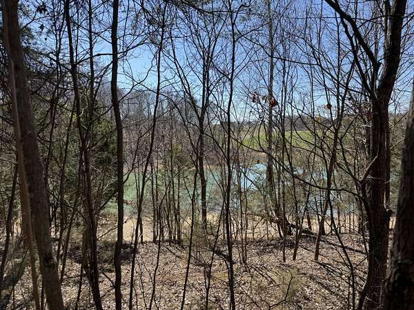 0.38 Acres of Residential Land for Sale in Talbott, Tennessee