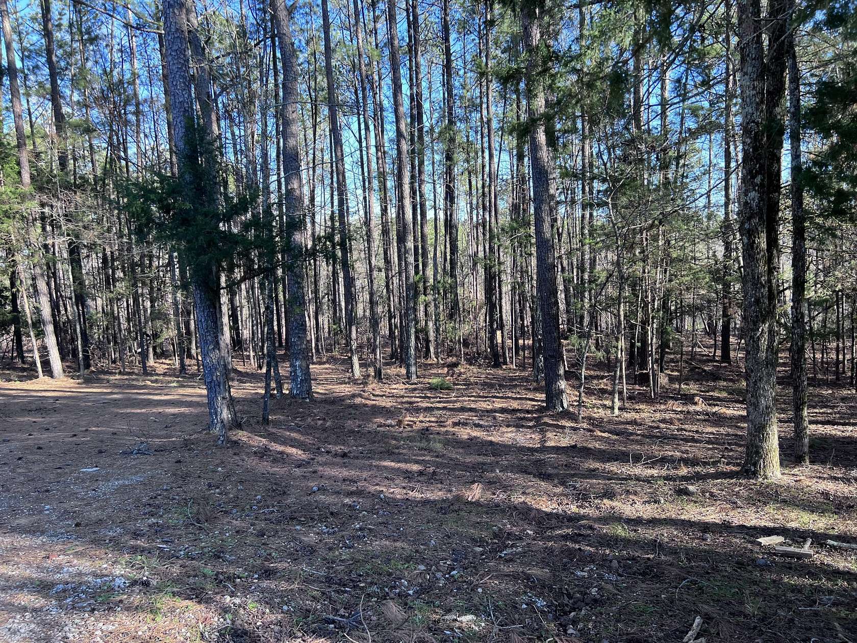 2 Acres of Land for Sale in Appling, Georgia