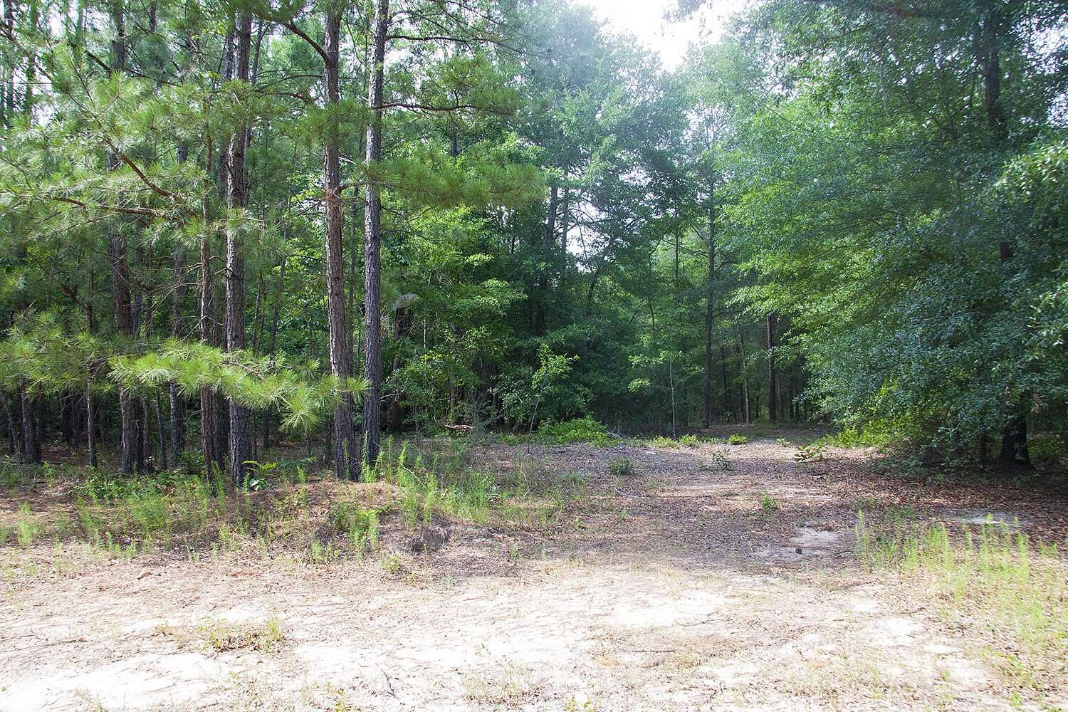 50 Acres of Recreational & Residential Land for Sale in Hephzibah, Georgia
