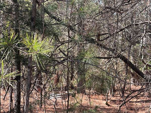 0.34 Acres of Residential Land for Sale in McCormick, South Carolina