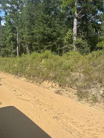 1.18 Acres of Residential Land for Sale in Thomson, Georgia