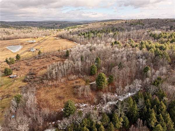 10.4 Acres of Recreational & Residential Land for Sale in Spencer, New York