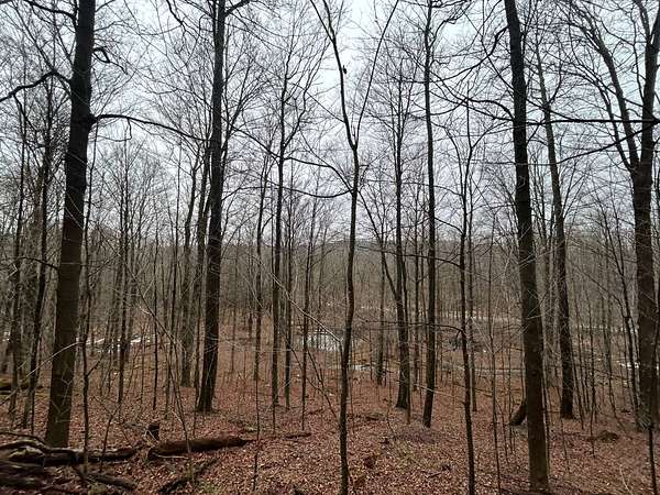 21.5 Acres of Recreational & Residential Land for Sale in Pine City, New York