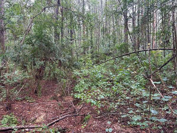 15 Acres of Land for Sale in Ethel, Louisiana