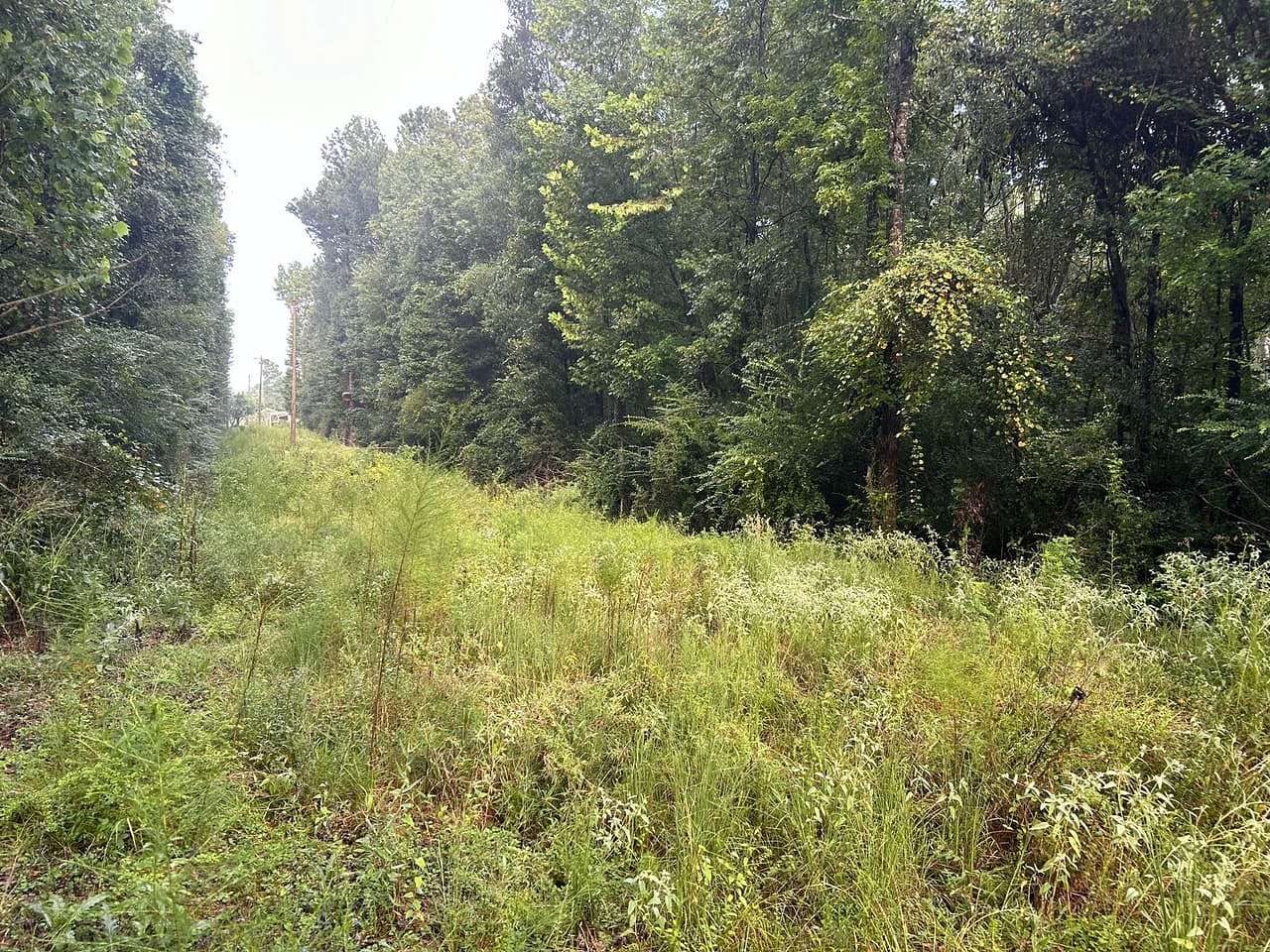 5 Acres of Residential Land for Sale in Ethel, Louisiana