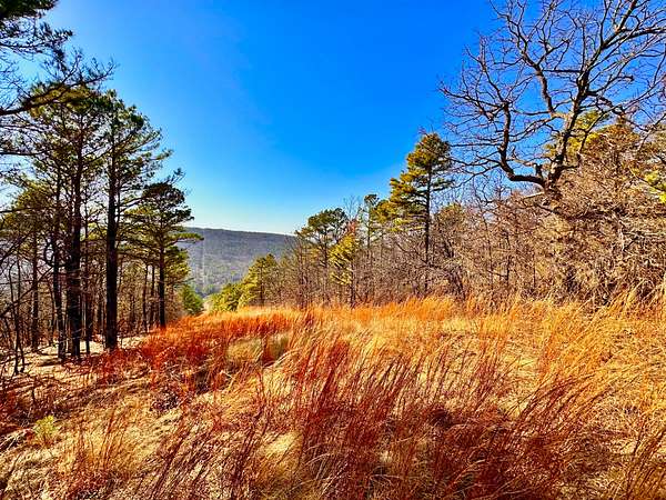 206 Acres of Recreational & Residential Land for Sale in Red Oak, Oklahoma