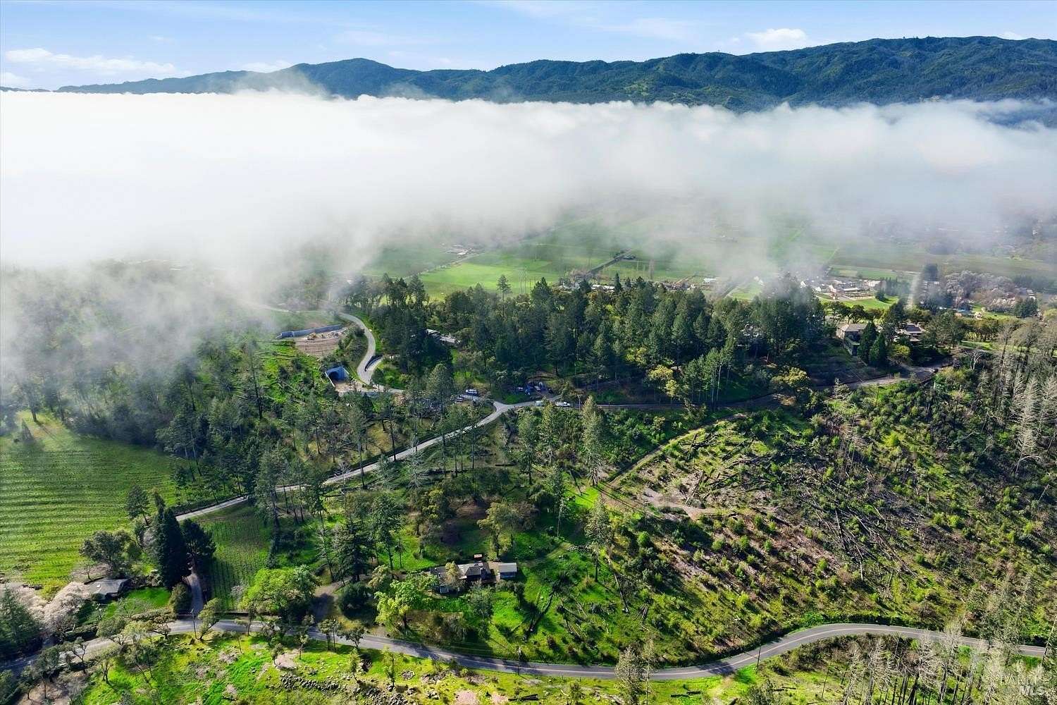 2.85 Acres of Land with Home for Sale in St. Helena, California