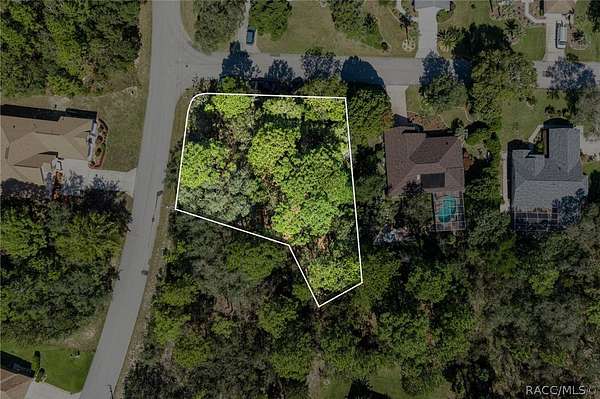 0.34 Acres of Residential Land for Sale in Homosassa, Florida