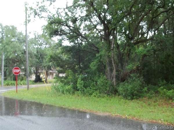 0.44 Acres of Residential Land for Sale in Inverness, Florida