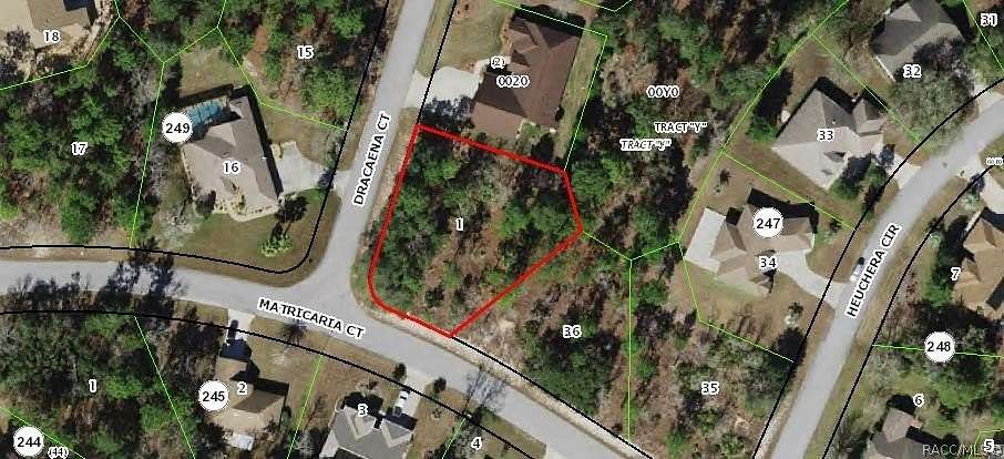 0.38 Acres of Residential Land for Sale in Homosassa, Florida