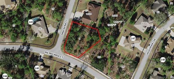 0.38 Acres of Residential Land for Sale in Homosassa, Florida