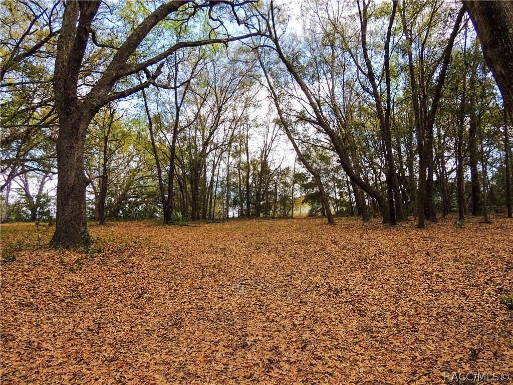 3.83 Acres of Residential Land for Sale in Fruitland Park, Florida