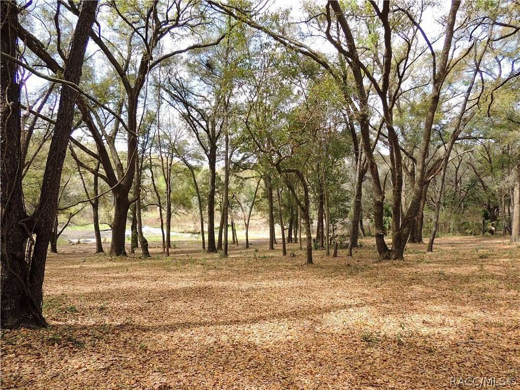 3.83 Acres of Residential Land for Sale in Fruitland Park, Florida