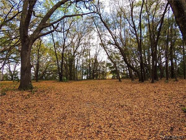 3.83 Acres of Residential Land for Sale in Fruitland Park, Florida