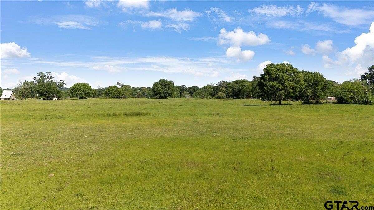 52.4 Acres of Agricultural Land for Sale in Troup, Texas