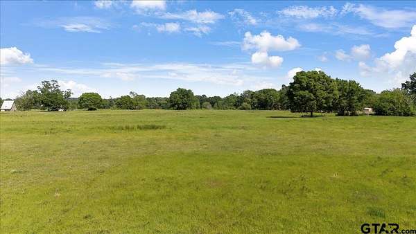 52.4 Acres of Agricultural Land for Sale in Troup, Texas