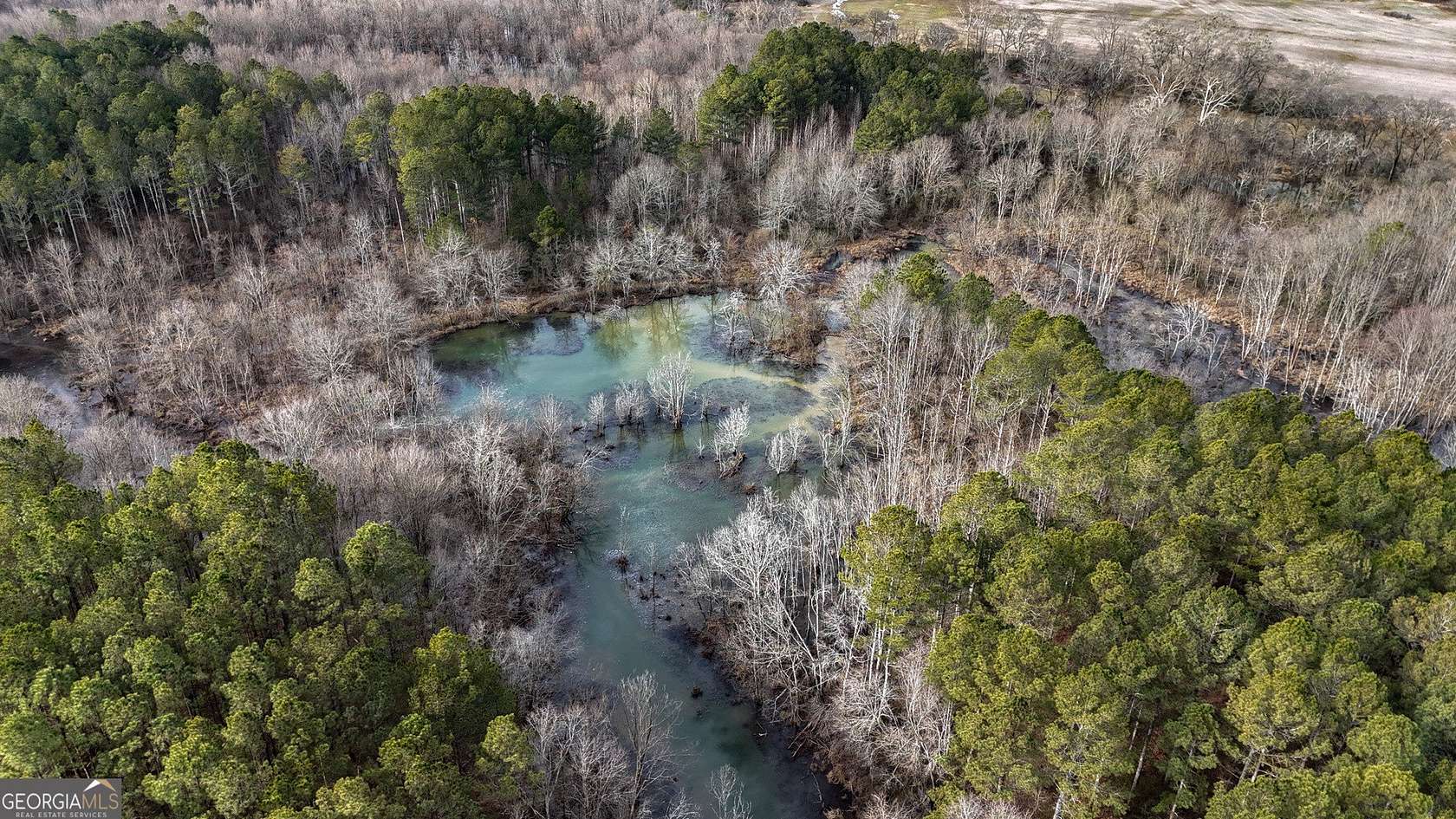 558 Acres of Recreational & Residential Land for Sale in Lyerly, Georgia