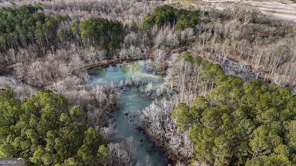 558 Acres of Recreational & Residential Land for Sale in Lyerly, Georgia