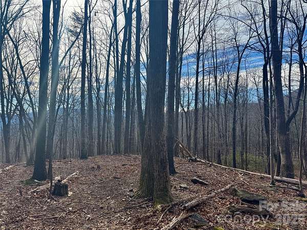 2.28 Acres of Residential Land for Sale in Mill Spring, North Carolina