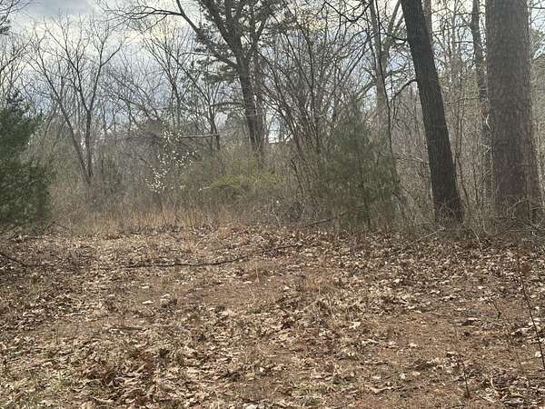 1 Acre of Residential Land for Sale in Van Buren, Missouri