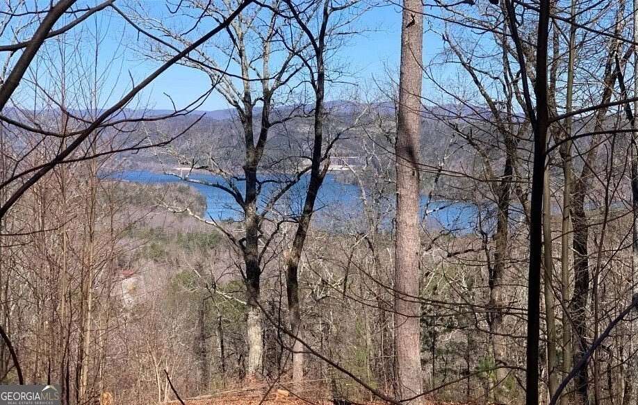 2.24 Acres of Residential Land for Sale in Ranger, Georgia