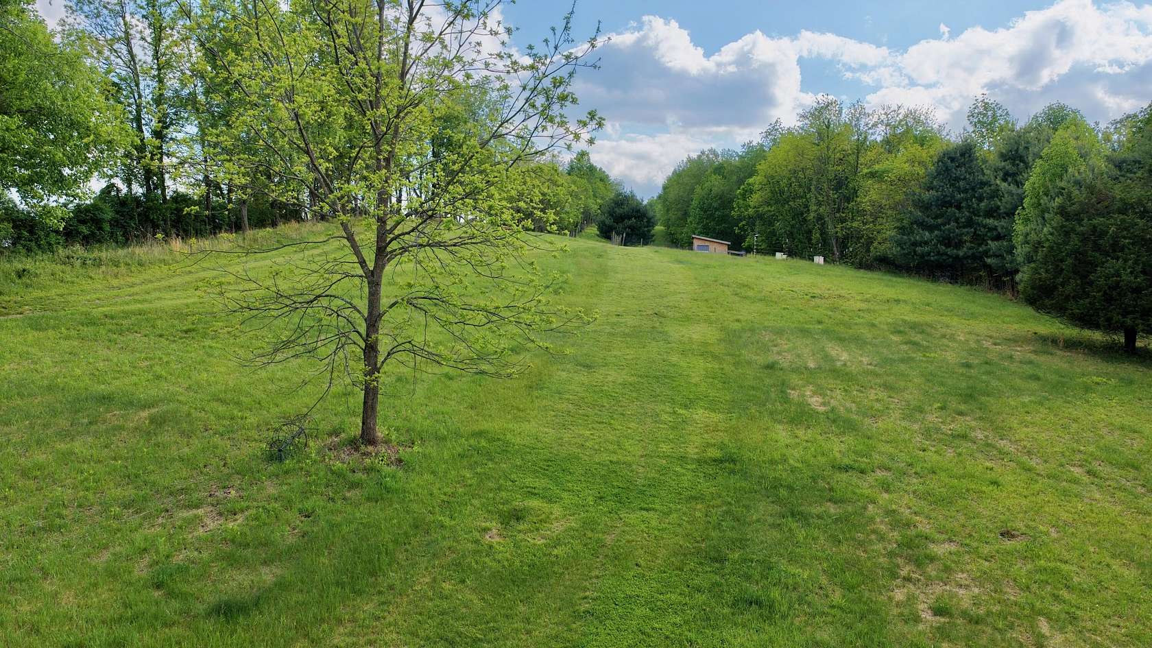 30.7 Acres of Land for Sale in Ronceverte, West Virginia