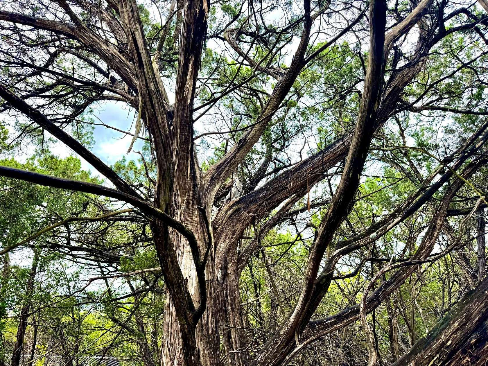 0.1 Acres of Land for Sale in Lakehills, Texas