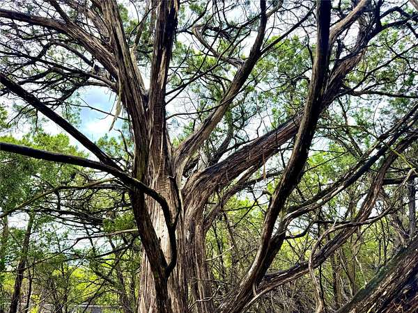 0.1 Acres of Land for Sale in Lakehills, Texas