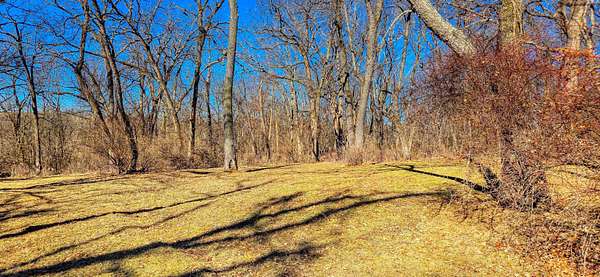 1 Acre of Residential Land for Sale in Freedom Township, Illinois