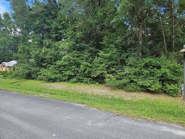 0.5 Acres of Residential Land for Sale in Wewahitchka, Florida