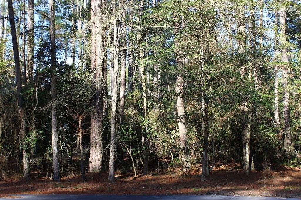 0.22 Acres of Residential Land for Sale in Greenbackville, Virginia