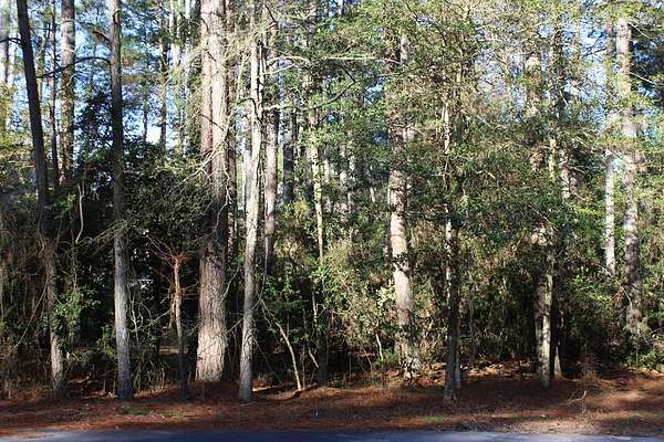 0.22 Acres of Residential Land for Sale in Greenbackville, Virginia