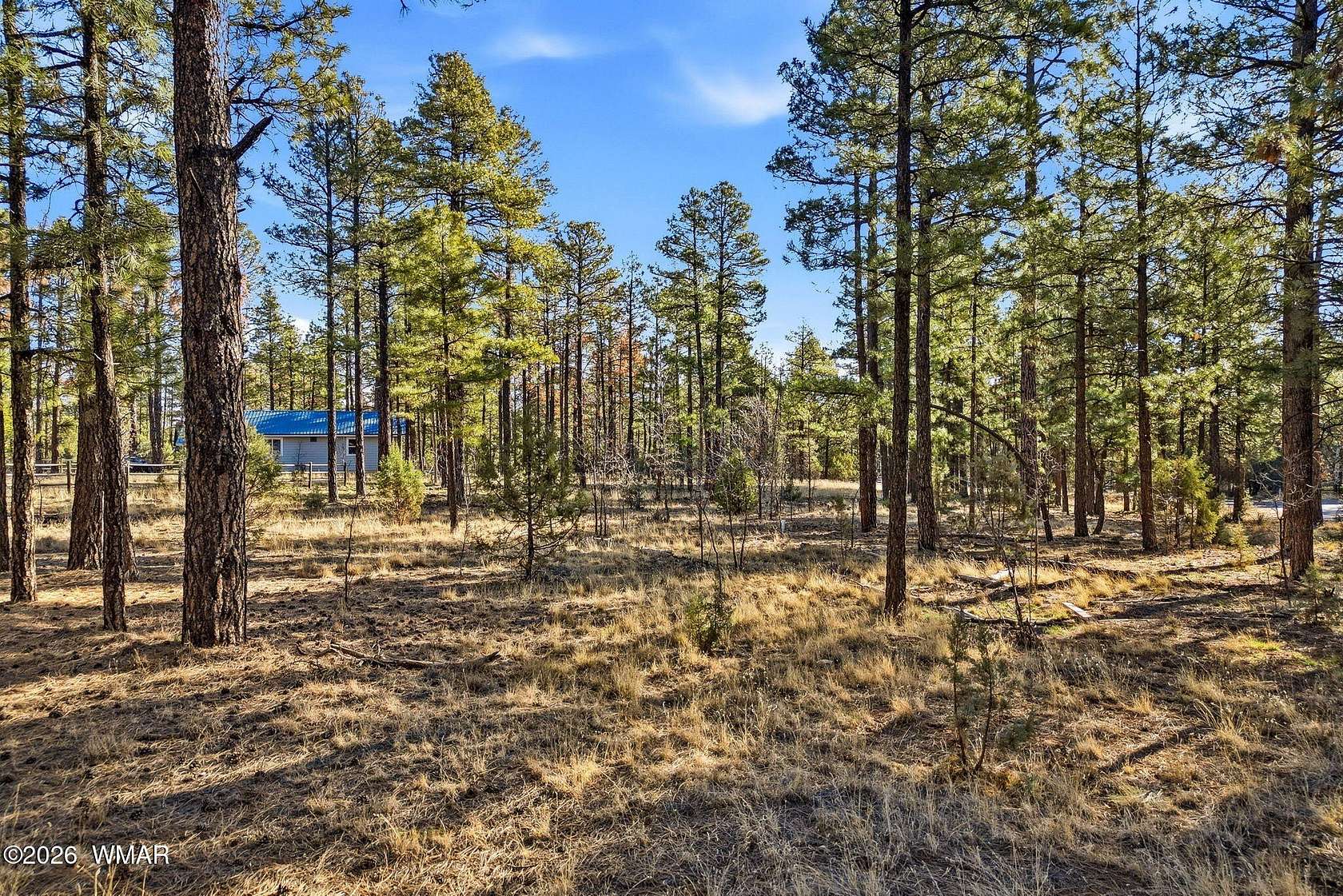 1.25 Acres of Residential Land for Sale in Overgaard, Arizona