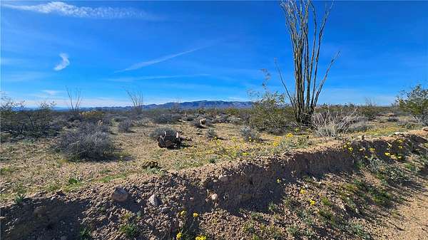 40 Acres of Land for Sale in Yucca, Arizona