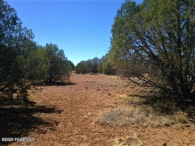 40 Acres of Land for Sale in Ash Fork, Arizona