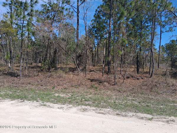 0.52 Acres of Residential Land for Sale in Brooksville, Florida