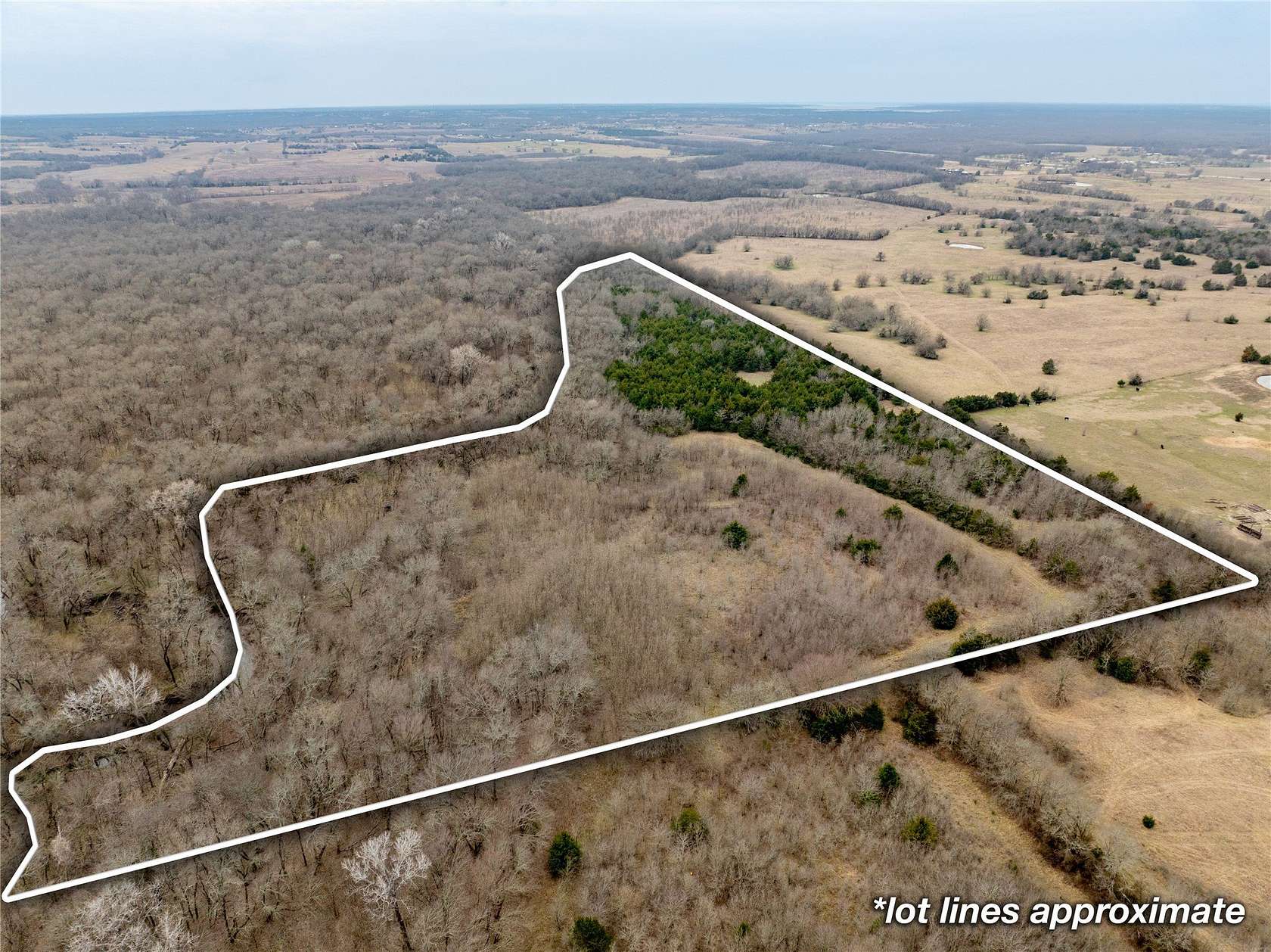 30.5 Acres of Land for Sale in Farmersville, Texas