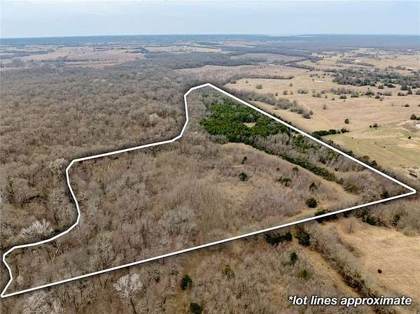 30.5 Acres of Recreational Land for Sale in Farmersville, Texas