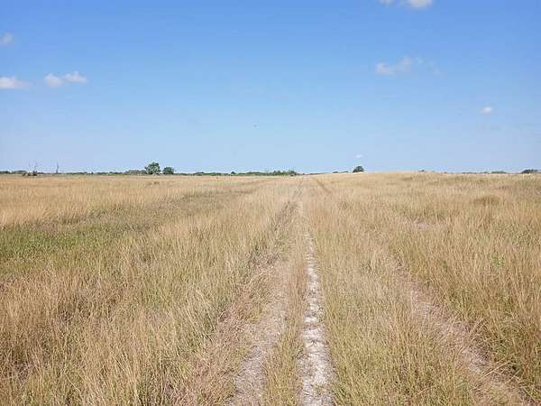 10 Acres of Residential Land for Sale in Blessing, Texas