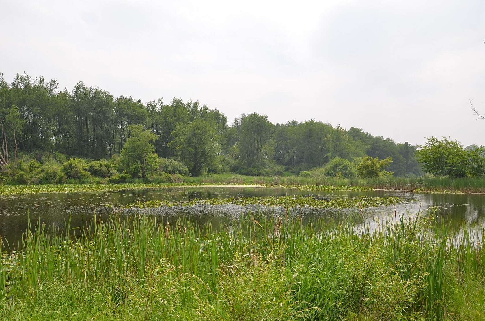 177 Acres of Land for Sale in Climax, Michigan