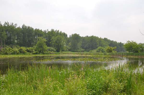 177 Acres of Land for Sale in Climax, Michigan