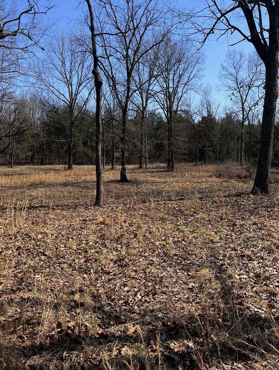 18.8 Acres of Land for Sale in Murfreesboro, Tennessee