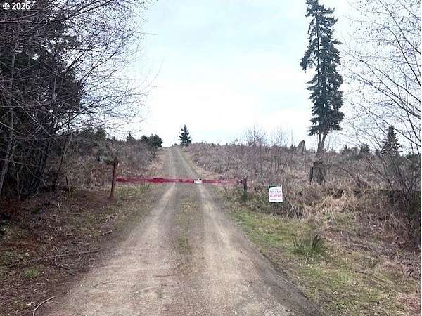 50.8 Acres of Land for Sale in Timber, Oregon
