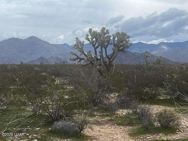 39.6 Acres of Land for Sale in Yucca, Arizona