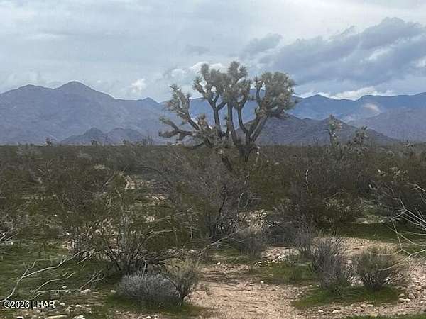 39.6 Acres of Land for Sale in Yucca, Arizona